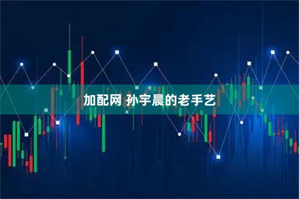 加配网 孙宇晨的老手艺